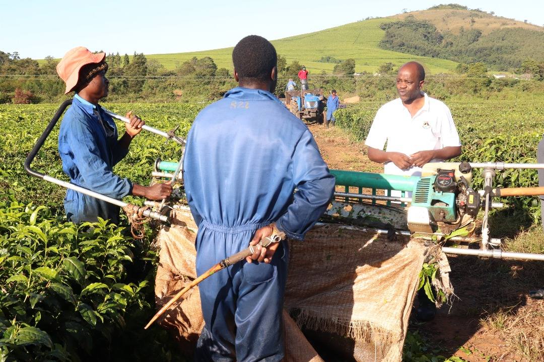 Farm Inspection Fieldwork